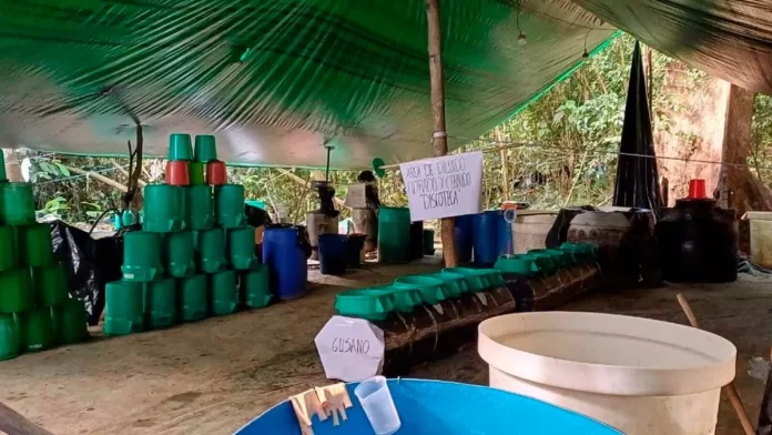 Operativo de la fuerza antidrogas durante la destrucción de megalaboratorios de droga en el trópico de Cochabamba